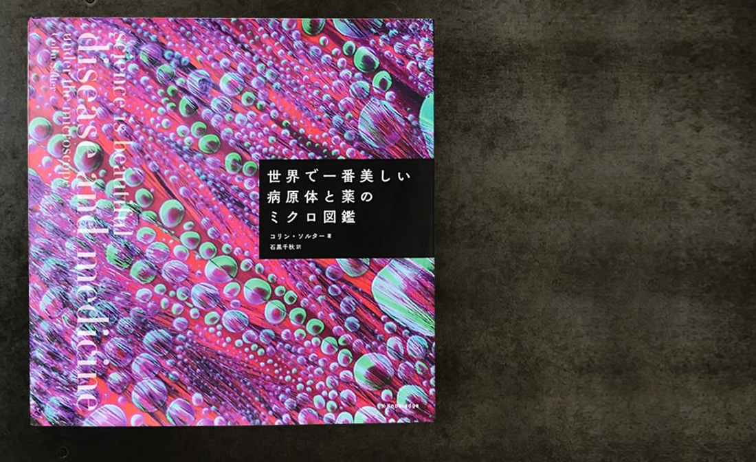 色鮮やかなアート作品？